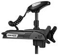 Электромотор MINN KOTA Riptide Terrova QUEST 24/36V 90/115lbs 87" (черный) 221см 1363912
