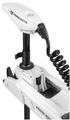 Электромотор MINN KOTA Riptide Terrova QUEST 24/36V 90/115lbs 87" (белый) 221см 1363902